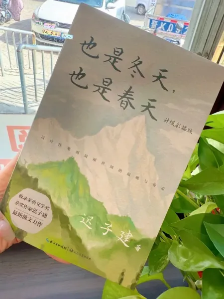 在凛冬里种下春天